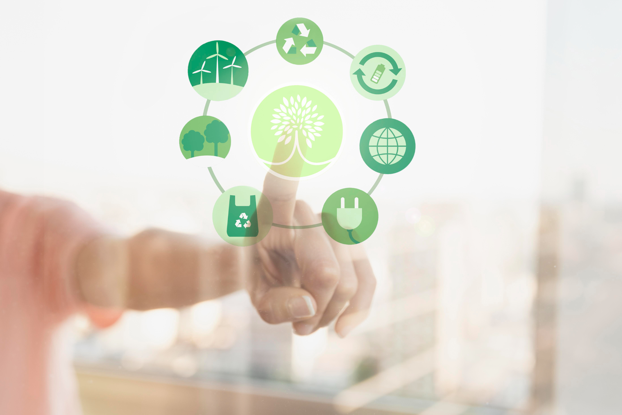 il nuovo sito NOW Ecology